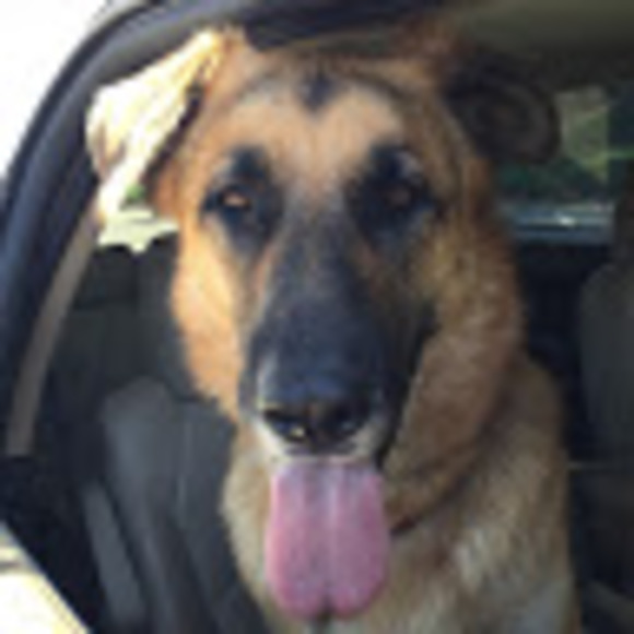 Meet your Posher, Sharon - Picture 1 of 1